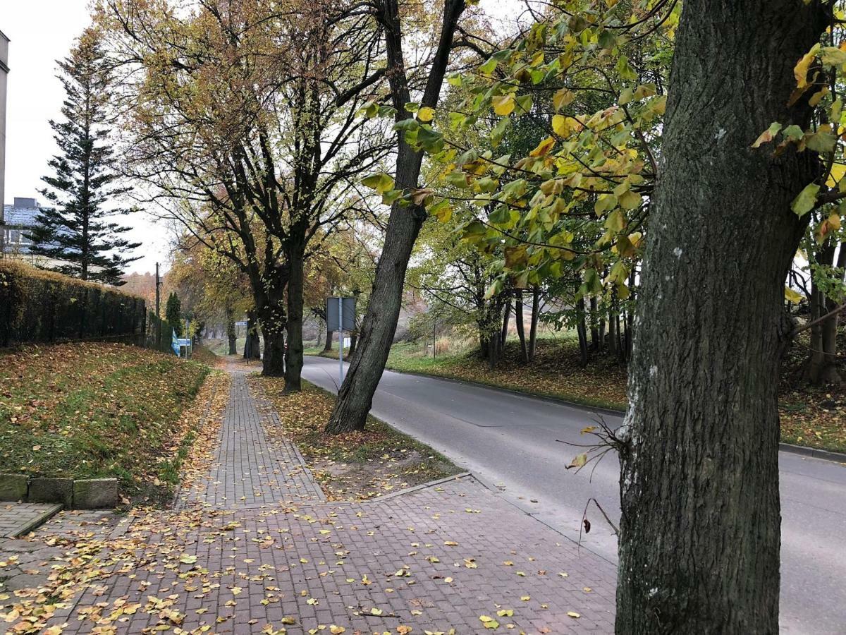 Apartament Perla Kartuz Z Sauna Kartuzy Exterior foto
